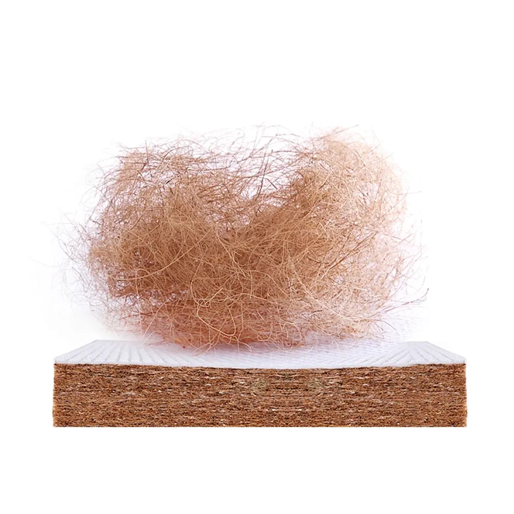 Latex Windmill Palm Coconut Coir Mattress