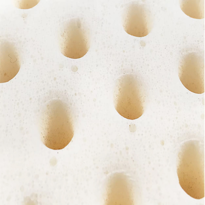 talalay latex pillow