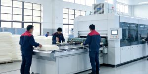 dunlop latex pillow factory