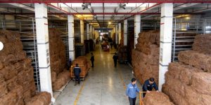 coconut coir mattress factory